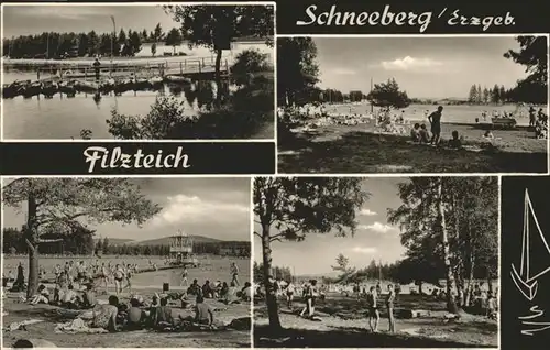 Schneeberg Erzgebirge Filzteich / Schneeberg /Erzgebirgskreis LKR