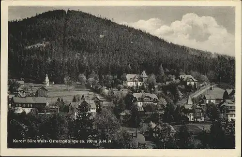 Baerenfels Erzgebirge  / Altenberg /Saechsische Schweiz-Osterzgebirge LKR