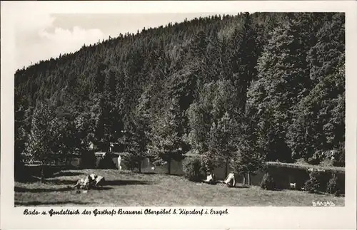 Kipsdorf Gondelteich Gasthof Brauerei Oberpoebel / Altenberg /Saechsische Schweiz-Osterzgebirge LKR