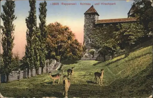 Rapperswil SG Rapperswil Schloss Hirschpark x / Rapperswil SG /Bz. See-Gaster