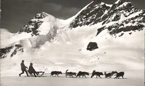 Jungfrau BE Jungfrau Polarhunde  * / Jungfrau /Rg. Finsteraarhorn