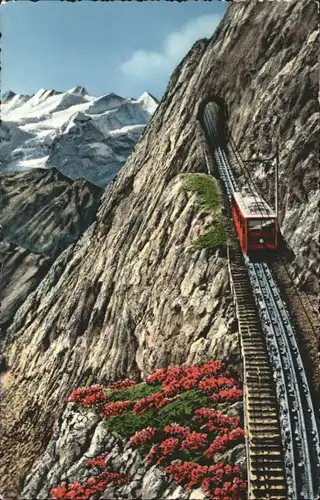 Pilatus Pilatus Bahn Eselwand  x / Pilatus /Rg. Alpnach