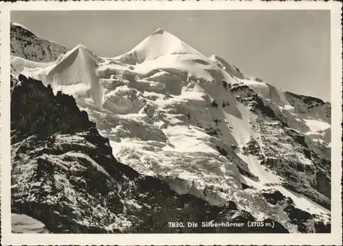 Jungfrau BE Jungfrau Silberhoerner * / Jungfrau /Rg. Finsteraarhorn