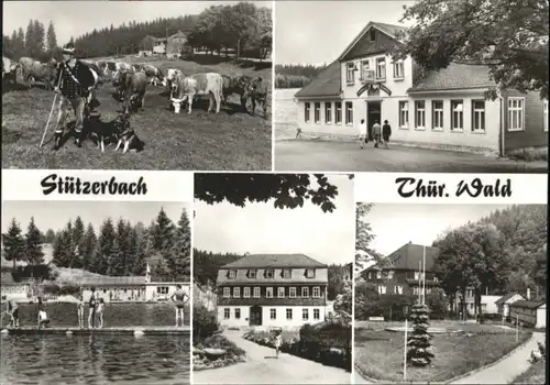 Stuetzerbach Stuetzerbach Kuhherde Berggasthaus Auerhahn Schwimmbad Goethemuseum Kurpark * / Stuetzerbach /Ilm-Kreis LKR