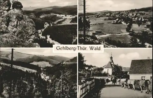 Gehlberg Gehlberg Kuehe x / Gehlberg /Ilm-Kreis LKR