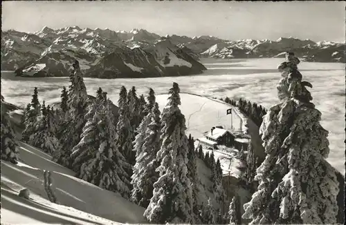 Rigi-Staffel Hotel Pension Edelweiss Kat. Rigi-Staffel