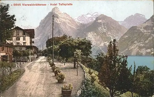 Vierwaldstaettersee Hotel Tellsplatte Kat. Brunnen