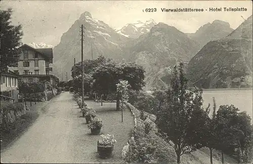 Vierwaldstaettersee Hotel Tellsplatte Kat. Brunnen