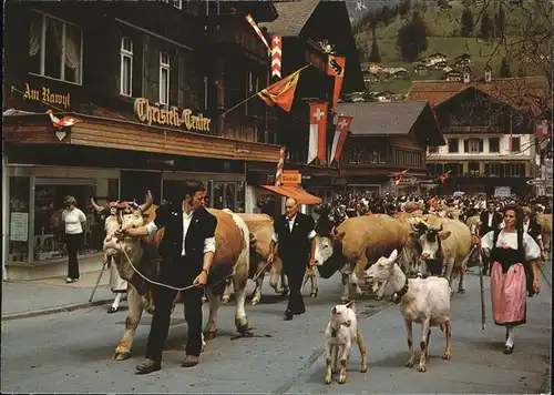 Lenk Simmental Alpaufzug Tracht Kuehe Ziegen Kat. Lenk Simmental