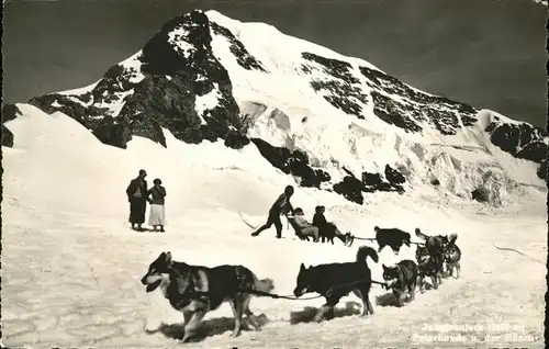 Jungfraujoch Polarhunde Kat. Jungfrau