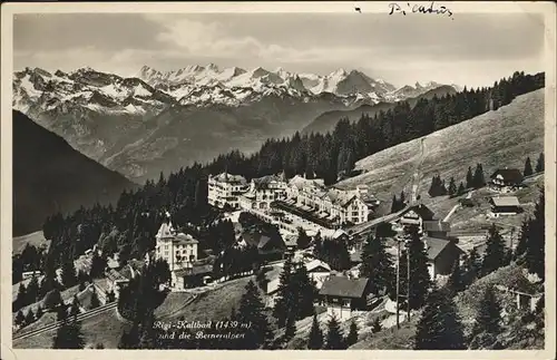 Rigi-Staffel Hotel Edelweiss Kat. Rigi-Staffel