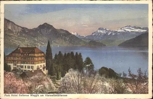 Vierwaldstaettersee Hotel Bellevue Weggis Kat. Brunnen