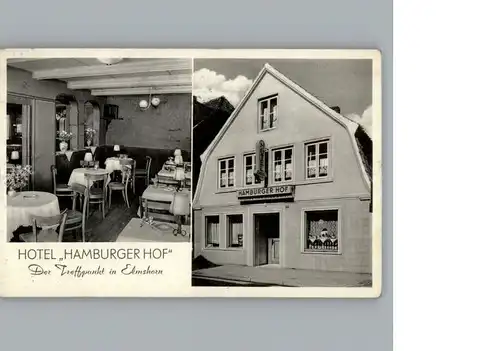 Elmshorn Hotel Hamburger Hof / Elmshorn /Pinneberg LKR