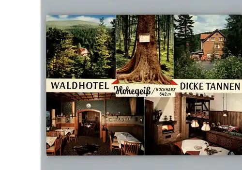 Hohegeiss Harz Hotel Dicke Tannen / Braunlage /Goslar LKR