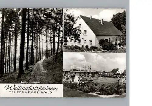 Wellingholzhausen Pension Beutlingshof, Freibad / Melle /Osnabrueck LKR