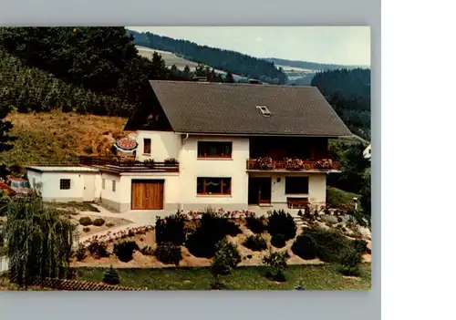 Zueschen Sauerland Pension Haus Tannenhof / Winterberg /Hochsauerlandkreis LKR