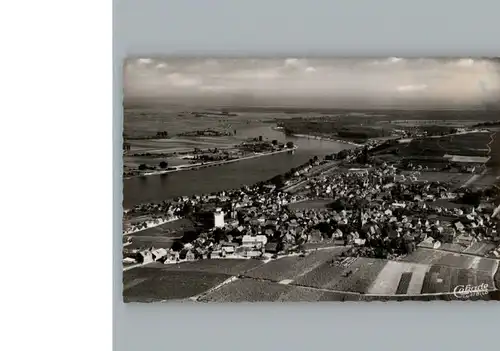 Nierstein Rhein Fliegeraufnahme / Nierstein /Mainz-Bingen LKR