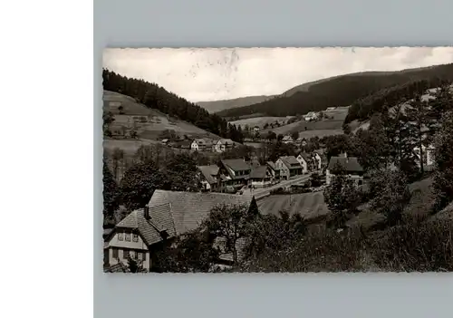 Obertal Baiersbronn  / Baiersbronn /Freudenstadt LKR