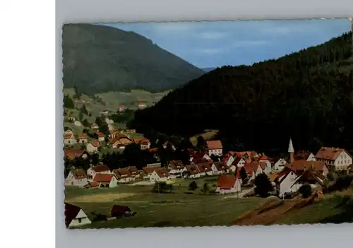 Obertal Baiersbronn  / Baiersbronn /Freudenstadt LKR