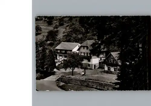 Oberharmersbach Pension Haus Schwarzwald-Idyll / Oberharmersbach /Ortenaukreis LKR