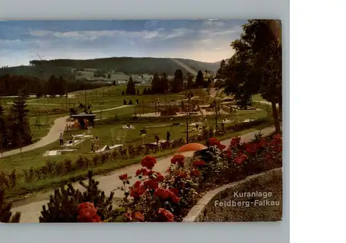 Falkau  / Feldberg (Schwarzwald) /Breisgau-Hochschwarzwald LKR