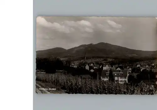 Muellheim Baden  / Muellheim /Breisgau-Hochschwarzwald LKR