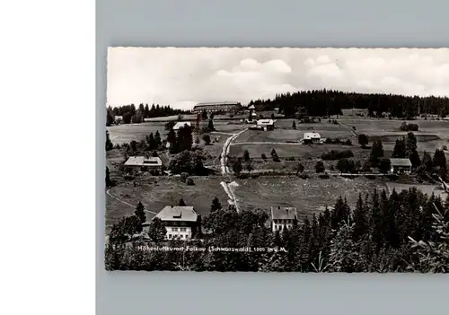 Falkau  / Feldberg (Schwarzwald) /Breisgau-Hochschwarzwald LKR