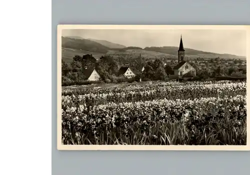 Laufen Salzach  / Laufen /Berchtesgadener Land LKR