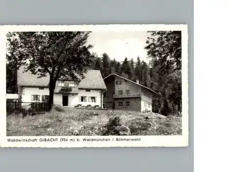 Waldmuenchen Wirtschaft Gibacht / Waldmuenchen /Cham LKR