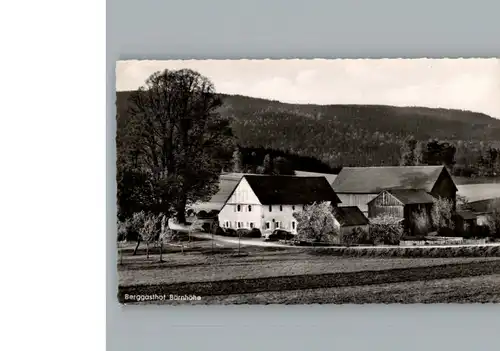 Friedenfels Gasthof Baernhoehe / Friedenfels /Tirschenreuth LKR