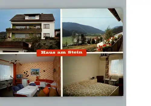 Steinwiesen Pension Haus am Stein / Steinwiesen /Kronach LKR