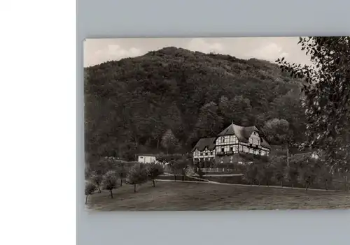 Ittenbach Hotel Loewenburger Hof / Koenigswinter /Rhein-Sieg-Kreis LKR