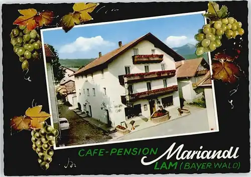 Lam Oberpfalz Cafe Pension Mariandl / Lam /Cham LKR