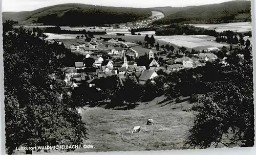 Wald-Michelbach  / Wald-Michelbach /Bergstrasse LKR