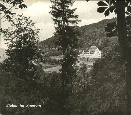 Gelnhausen Bieber Hermann Lueckel Kolonialwaren Kat. Gelnhausen