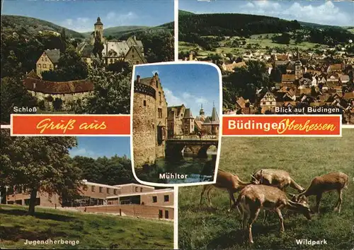 Buedingen Hessen Schloss Wildpark Jugendherberge / Buedingen /Wetteraukreis LKR