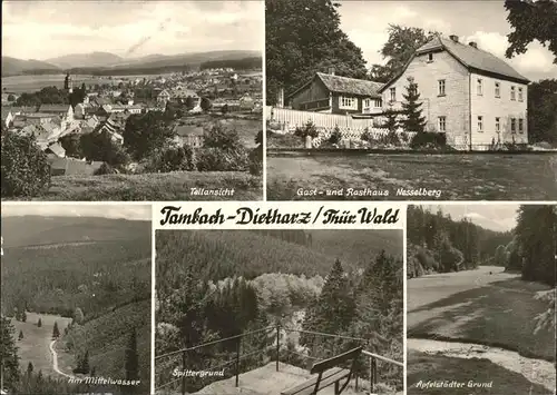 Tambach-Dietharz Gasthaus Nesselberg Kat. Tambach-Dietharz