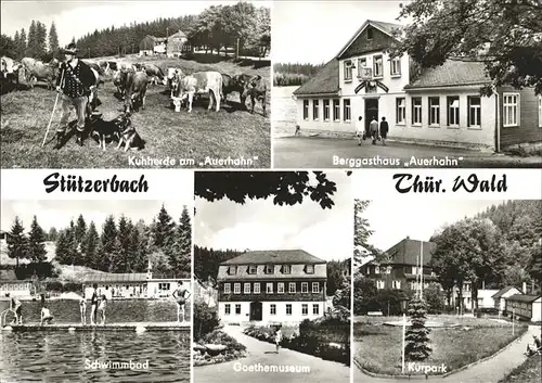 Stuetzerbach Schwimmbad Goethemuseum Kat. Stuetzerbach