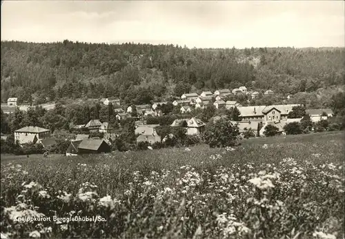 Berggiesshuebel  Kat. Bad Gottleuba-Berggiesshuebel