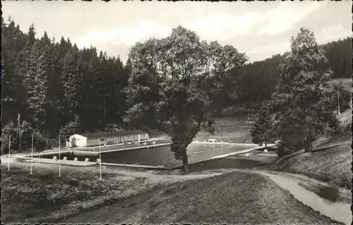 Lauscha Waldbad im Steinachgrund Kat. Lauscha