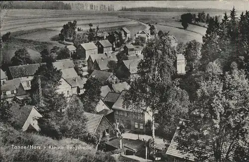 Tanne Harz Kleine Bergstrasse Kat. Tanne Harz