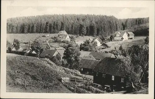 Tanne Harz Teilansicht Tanne Kat. Tanne Harz