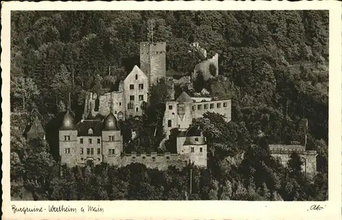 Wertheim Main Burgruine / Wertheim /Main-Tauber-Kreis LKR