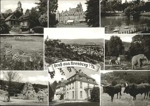 Kronberg Taunus Muettergenesungsheim Haus Waldfriede  Tierpark Kat. Kronberg im Taunus