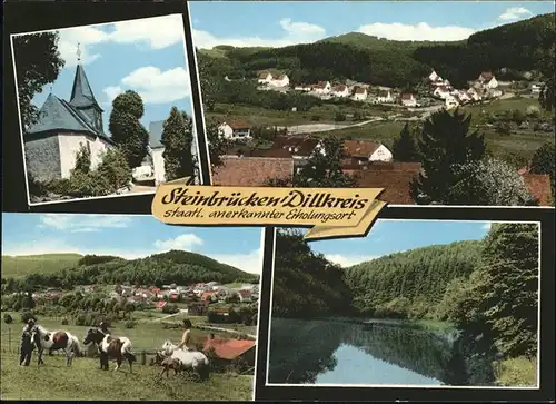 Steinbruecken Teilansicht Steinbruecken Kirche Weiher Pferdeweide Kat. Dietzhoelztal