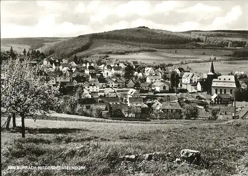 Burbach Niederdresselndorf Fruehling Kat. Burbach