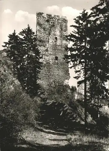 Hoehr-Grenzhausen Burg Grenzau Kat. Hoehr-Grenzhausen