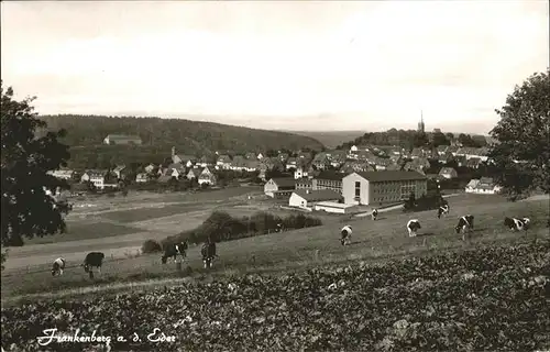 Frankenberg Eder Kuhweide Kuehe Kat. Frankenberg (Eder)