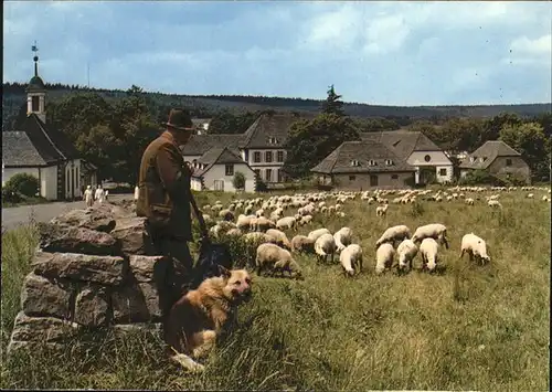 Neuhaus Solling Schaefer Hund Herde Kat. Holzminden