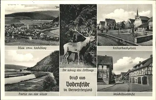 Bodenfelde Reiherbachplatz Muehlenstrasse Weser Blick vom Kahlberg Hirsch "Der Koenig des Sollings" Kat. Bodenfelde